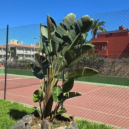 Estudio Playa Jardin Apartment Puerto de la Cruz (Tenerife)